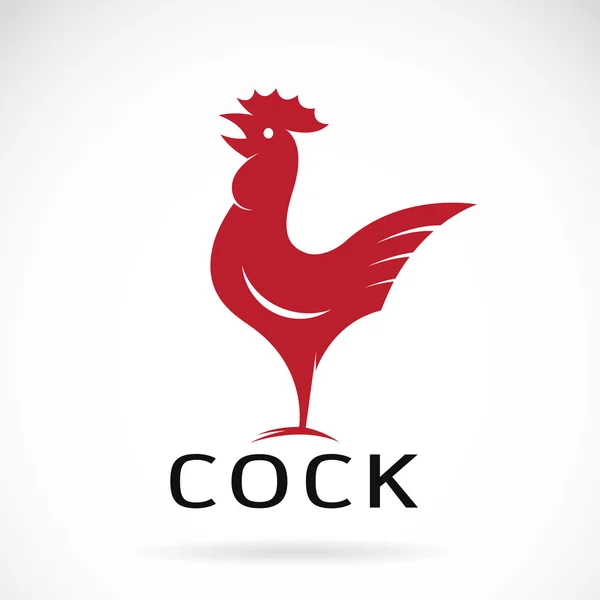 Vector image of an cock design on white background — Stock Vector