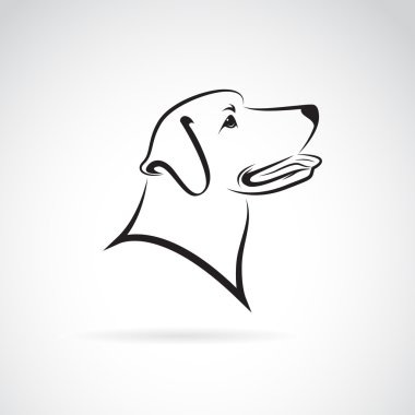 Beyaz arkaplanda bir köpek labradorunun vektör görüntüsü