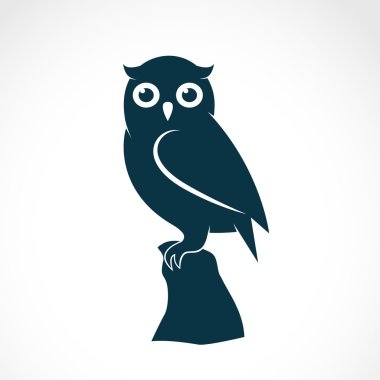 Vector image of an owl on white background clipart