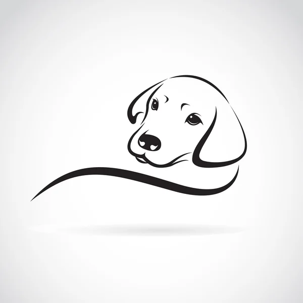 Imagem vetorial de um labrador de cães no fundo branco — Vetor de Stock