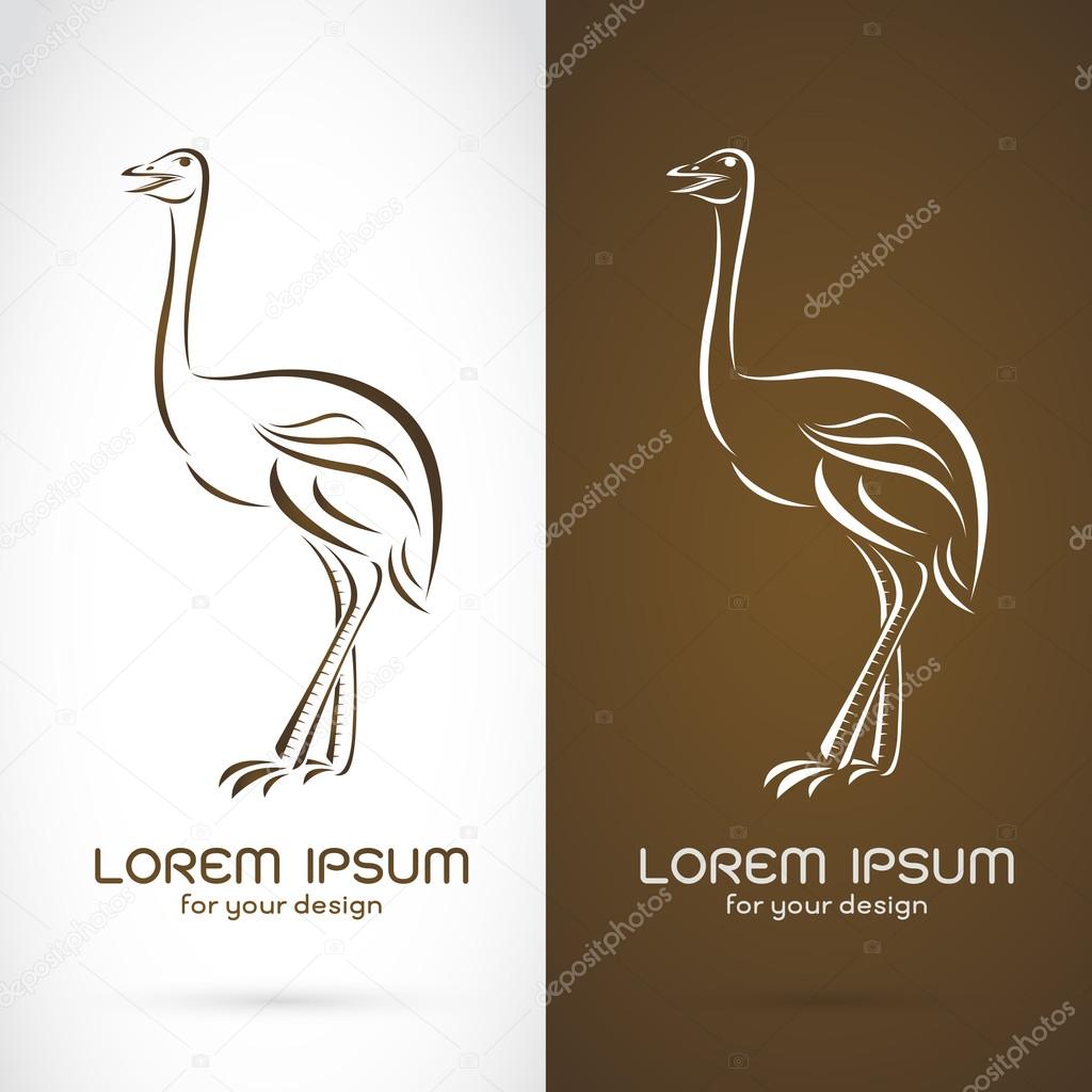 Vector image of a ostrich design on white background and brown b