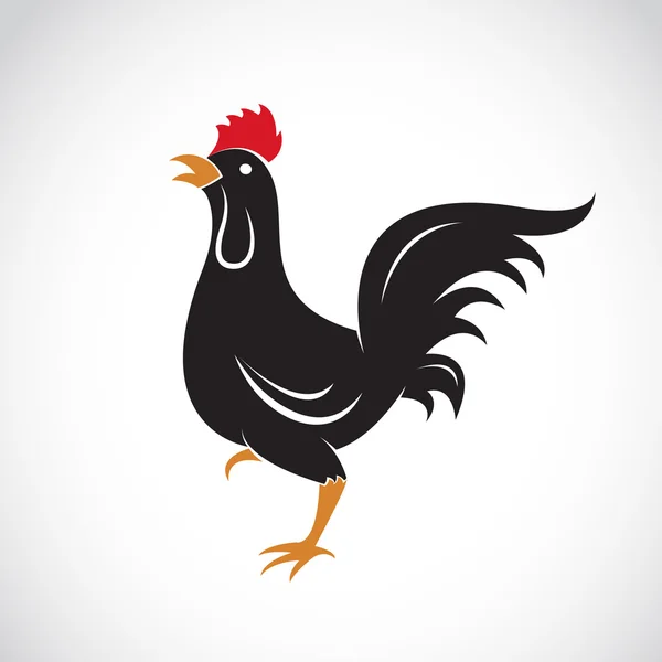 Vector image of an chicken design on white background — Stock Vector