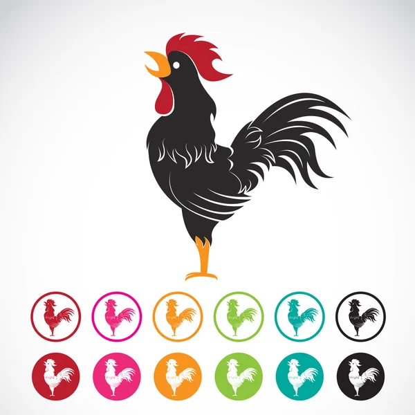 Vector afbeelding van een kip ontwerp op witte achtergrond — Stockvector