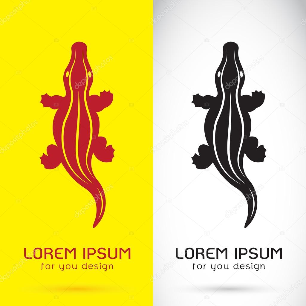 Vector image of a crocodile design on white background and yellow background, Logo, Symbol