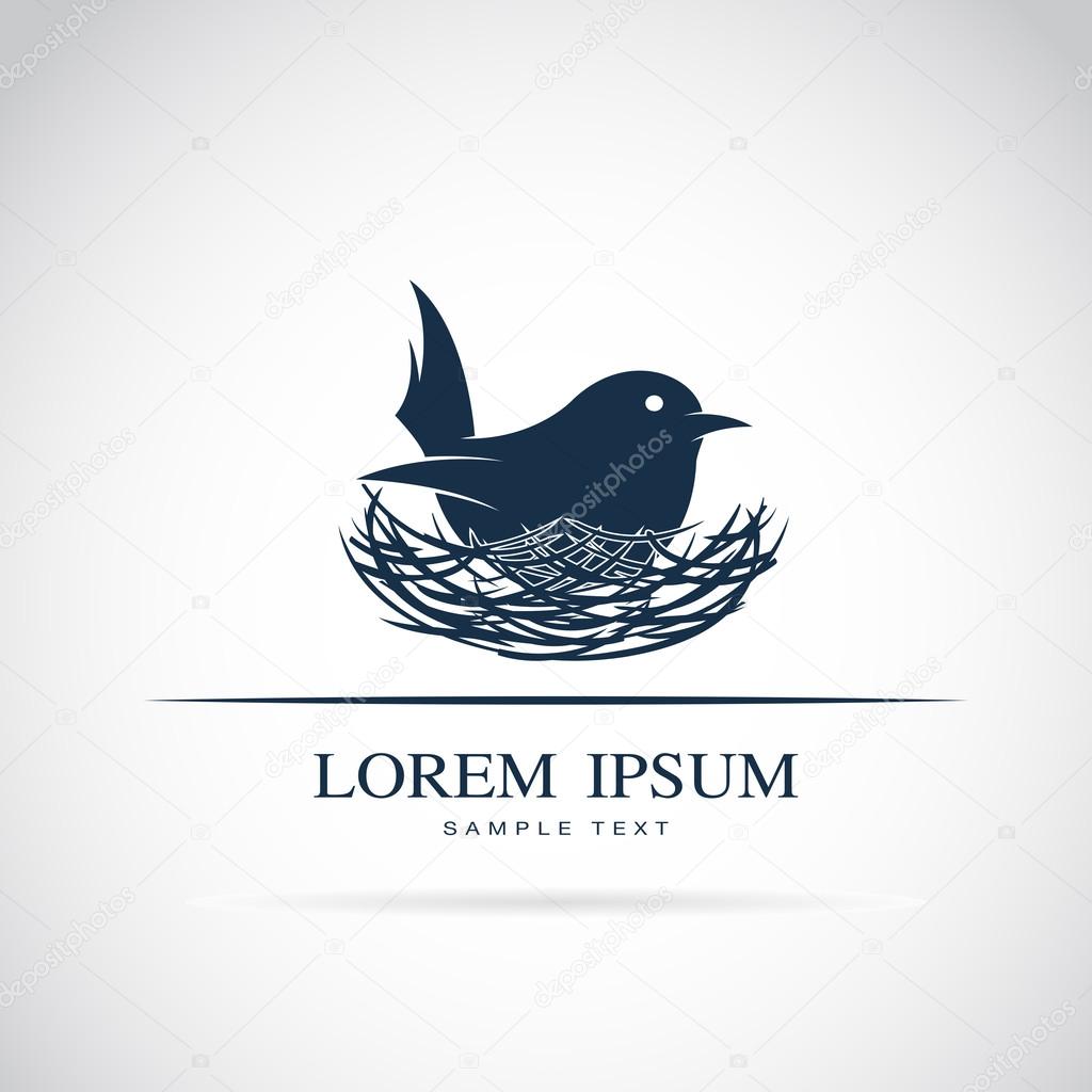 Vector image of an bird hatch her egg in nest on white background