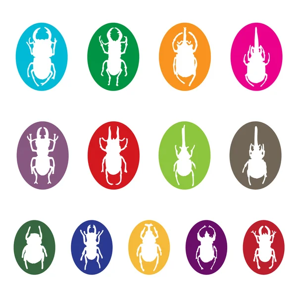 Vector group of insects on white background. Beetle — Stock Vector