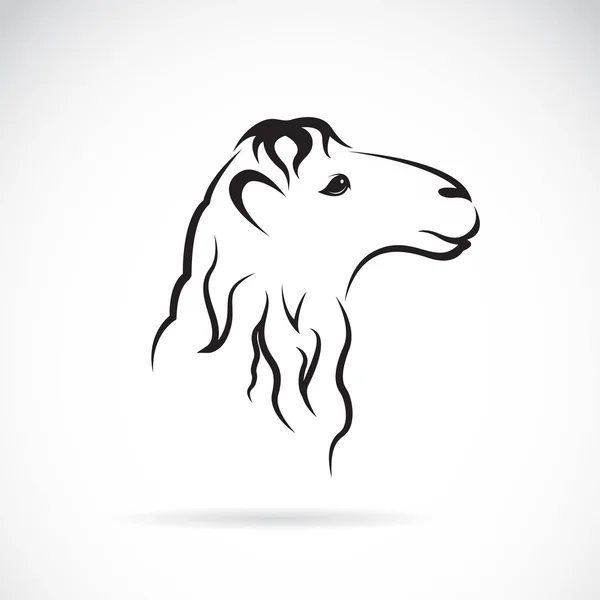 Immagine vettoriale di una testa di cammello su sfondo bianco — Vettoriale Stock