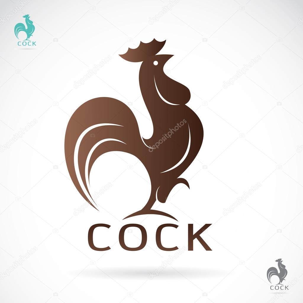 Vector image of an cock design on white background