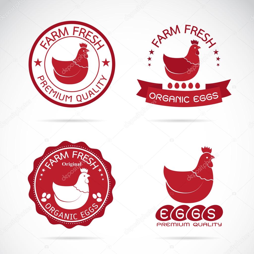 Set of vector an chicken and eggs label on white background