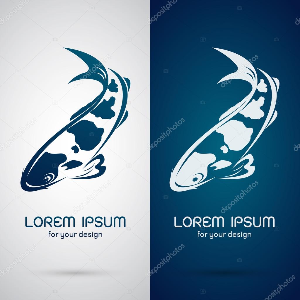 Vector image of an carp koi design on white background and blue background, Logo, Symbol