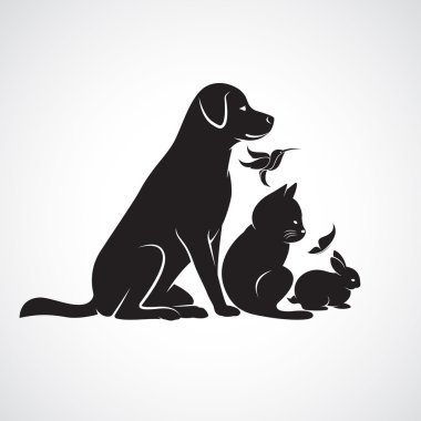 Evcil - köpek, kedi, kuş, kelebek, tavşan, vektör grup izole