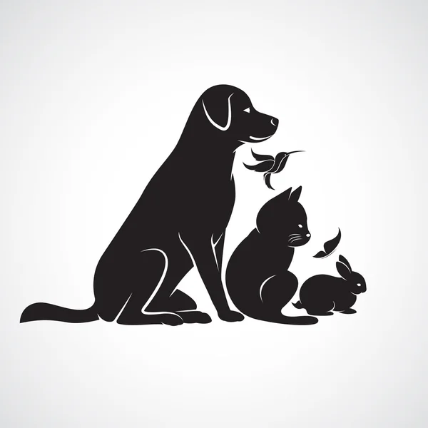 Vector grupp av sällskapsdjur - hund, katt, fågel, fjäril, kanin, isolera — Stock vektor