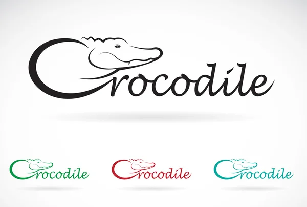 Crocodilo de design vetorial é texto sobre um fundo branco. — Vetor de Stock