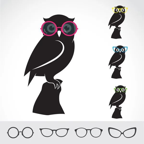 Imagens vetoriais de coruja e óculos sobre fundo branco. — Vetor de Stock