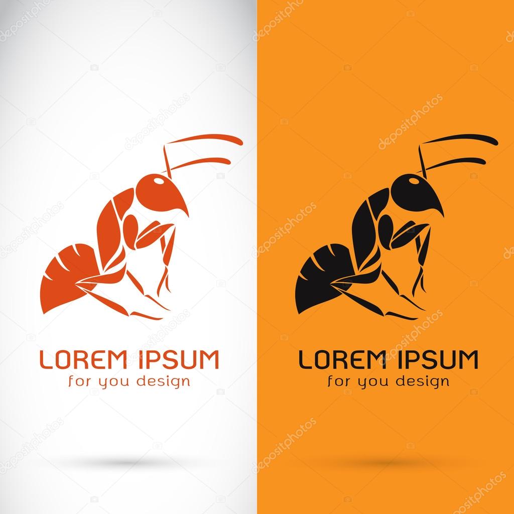 Vector image of a ant design on white background and orange back