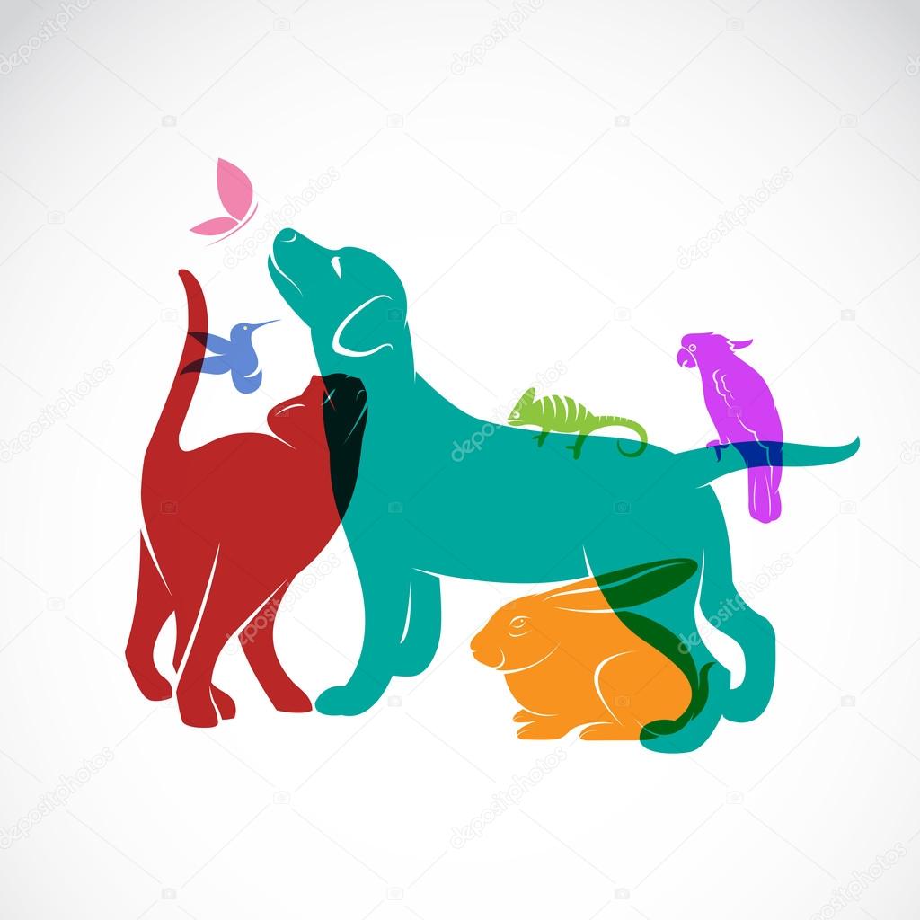 Vecteurs Pour Pictogramme De Chien Illustrations Libres De Droits Pour Pictogramme De Chien Depositphotos