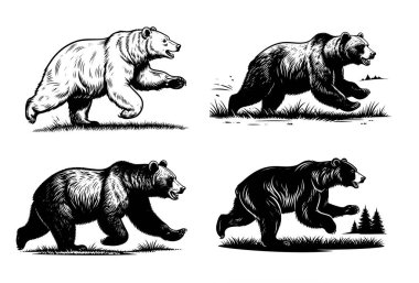 Dört dinamik boz ayı çiziminin temsilcisi. Detaylı siyah-beyaz ahşap kesim tarzıyla doğal bir manzarada koşuyor. Vahşi Hayvanlar.