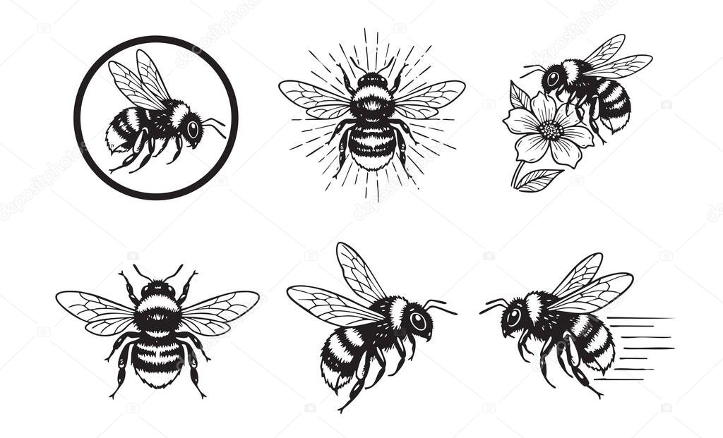 Charming set of bumble bee vector illustrations in various flying and perching poses with flowers, in a black and white woodcut style.