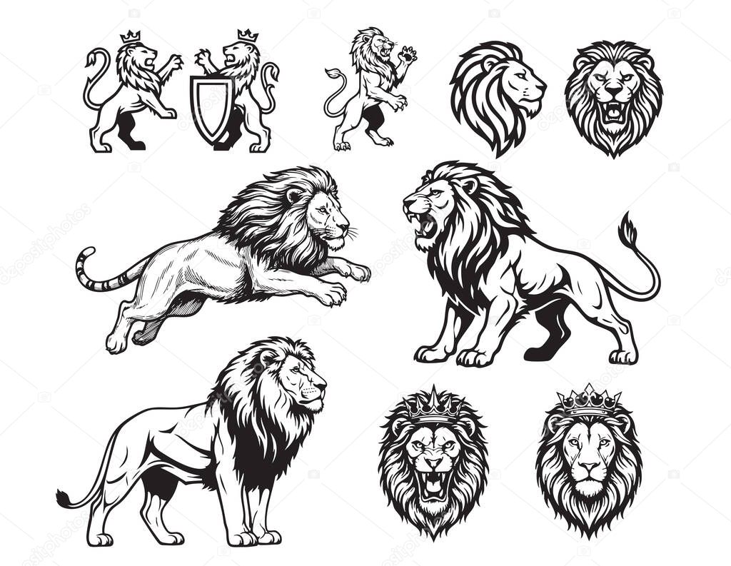 Majestic vector collection of lions in various poses: standing, attacking, jumping, and crowned heads, in a bold, strong style. Wild Animals.