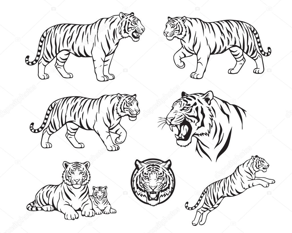 Bold vector collection of tigers in various poses walking, jumping, resting, and head portraits in line-art style. Wild Animal.