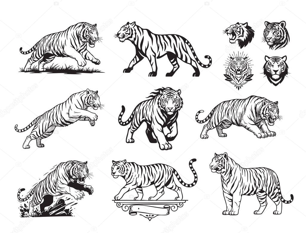 Dynamic vector collection of tigers in various poses: walking, jumping, and head portraits with decorative elements. Wild Animals.