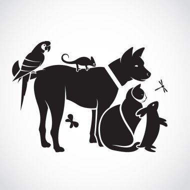 Evcil - köpek, kedi, papağan, bukalemun, tavşan, popo vektör grup