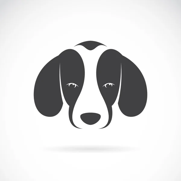 Imagen vectorial de un perrito beagle sobre fondo blanco — Archivo Imágenes Vectoriales