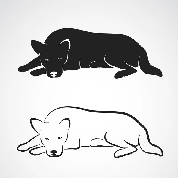 Imagen vectorial de un perro sobre fondo blanco — Vector de stock