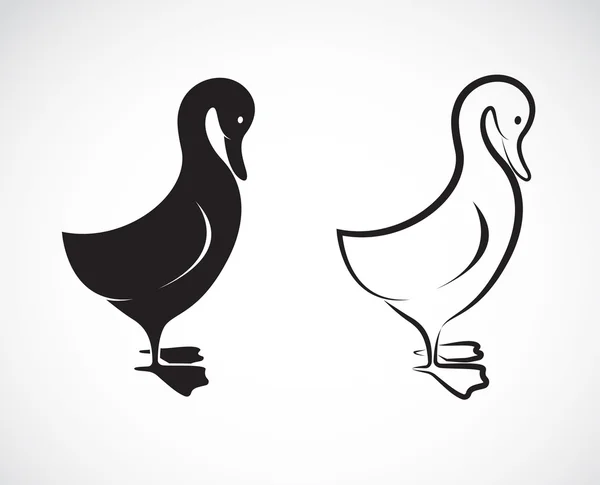 Imagen vectorial de un diseño de pato sobre fondo blanco — Vector de stock