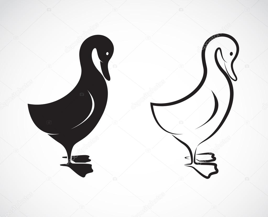 Vector image of a duck design on white background