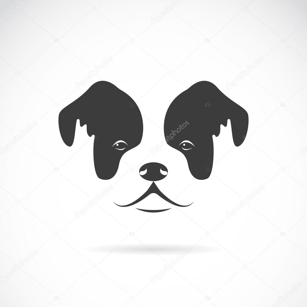 Vector image of an dog face (bulldog) on white background