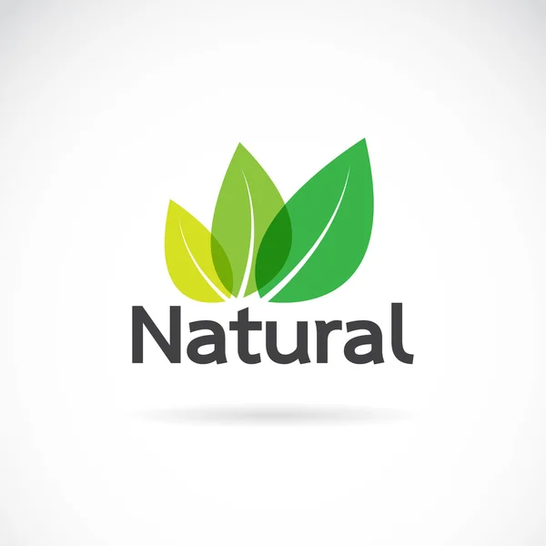 Modelo de vetor de design de logotipo natural no fundo branco . — Vetor de Stock