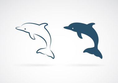 Vector image of an dolphin on white background clipart