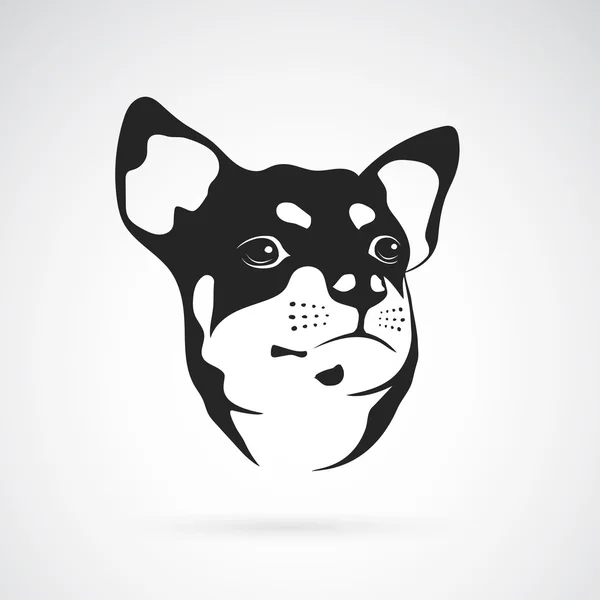 Imagen vectorial de un perro chihuahua sobre fondo blanco — Vector de stock