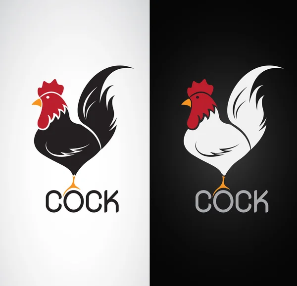 Vector image of an cock design on white background and black bac — Stock Vector