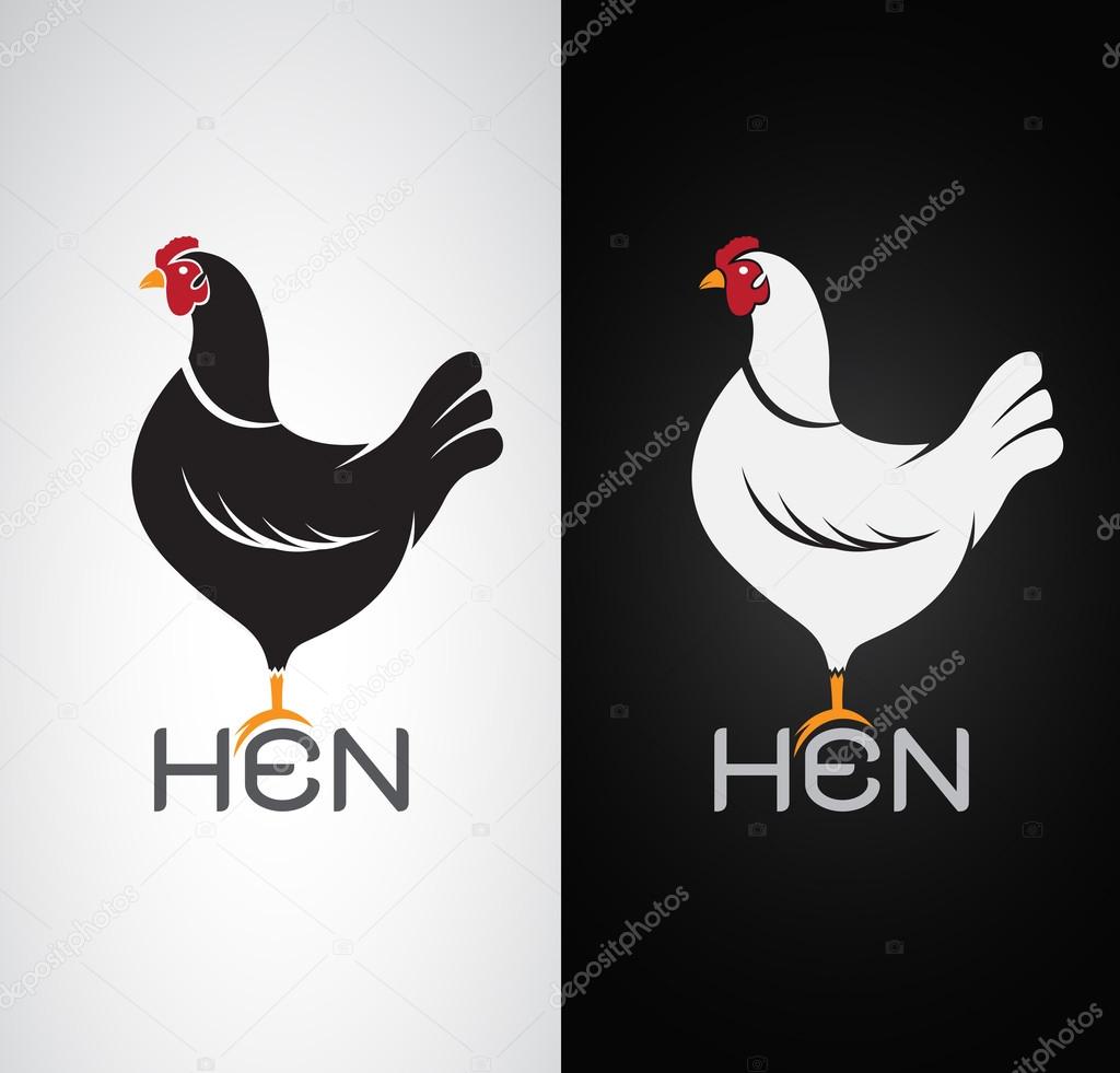 Vector image of an hen design on white background and black background, Logo, Symbol
