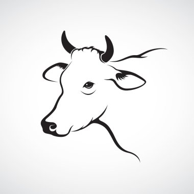 Vector image of an cow head on a white background clipart