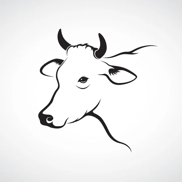 Imagen vectorial de una cabeza de vaca sobre un fondo blanco — Archivo Imágenes Vectoriales