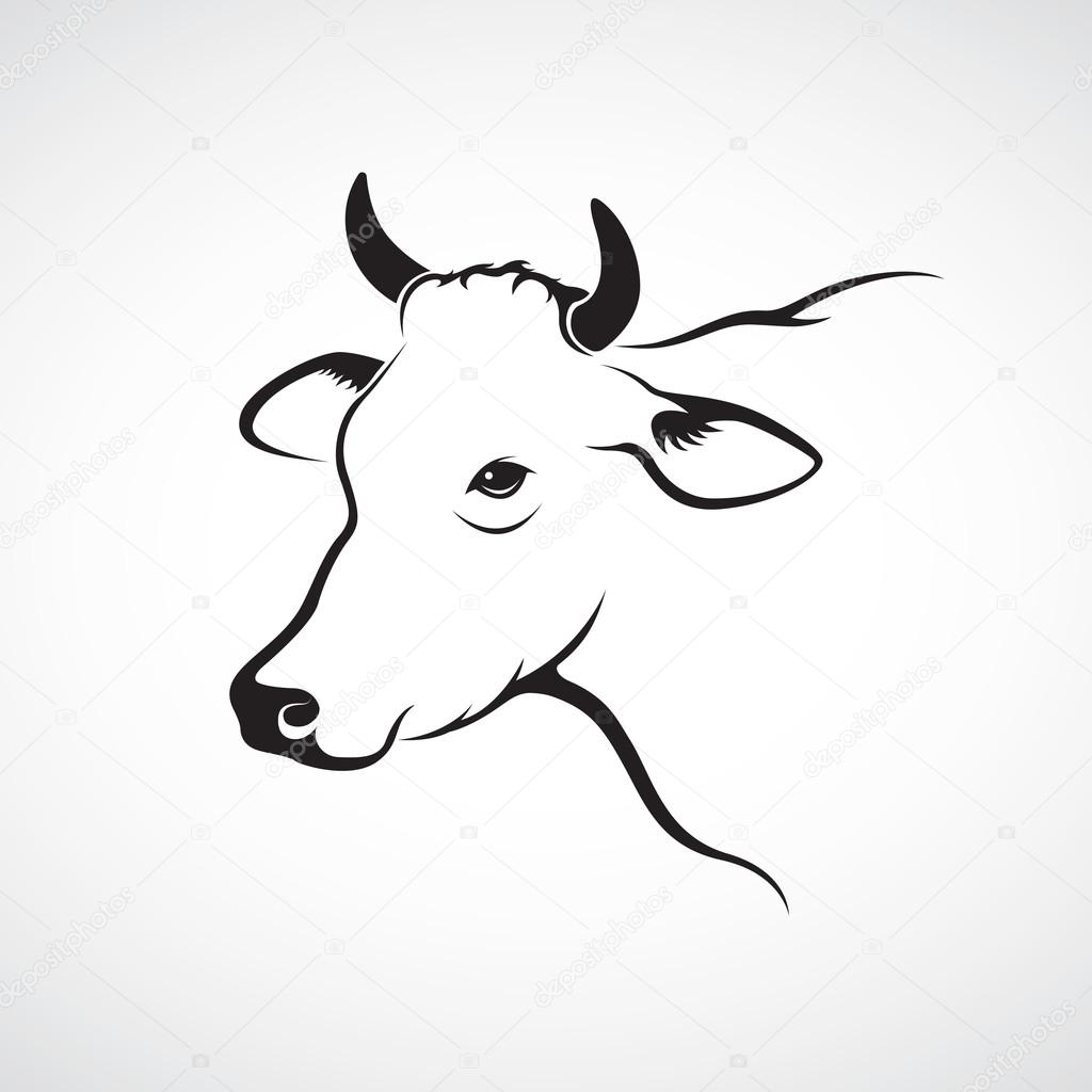 Vector image of an cow head on a white background
