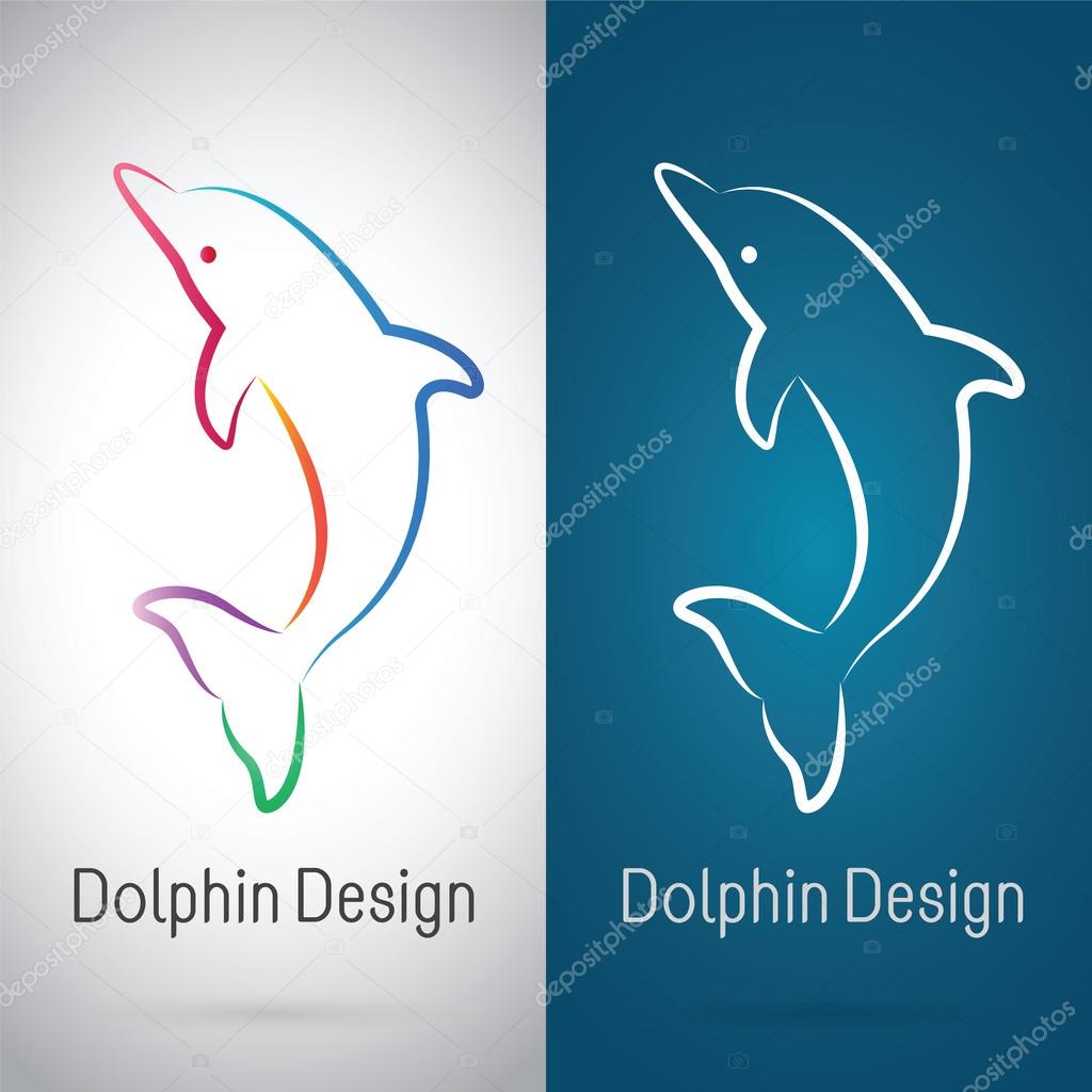 Vector image of an dolphin design on white background and blue background, Logo, Symbol