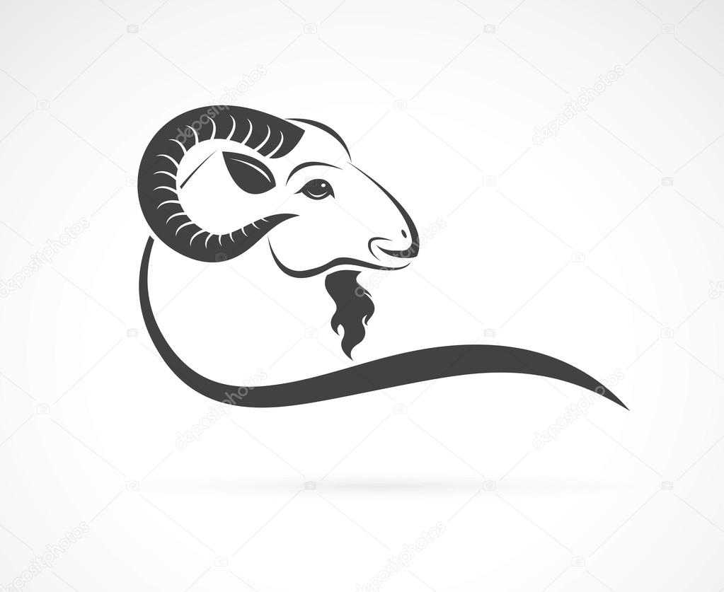 Vector image of an goat head design on white background