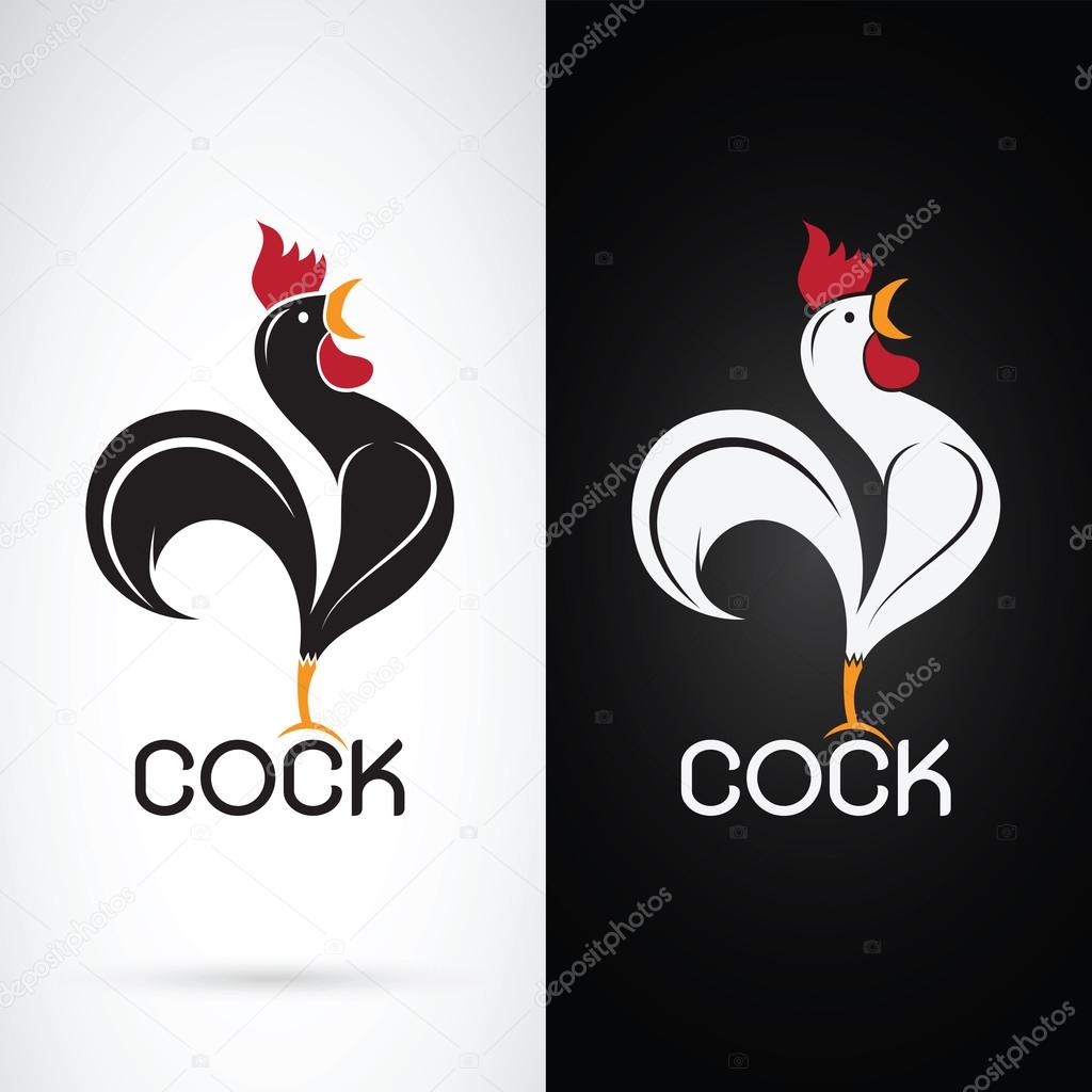 Vector image of a cock design on white background and black back