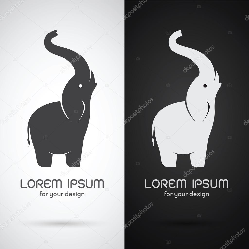 Vector image of an elephant design on white background and black background, Logo, Symbol, Banners