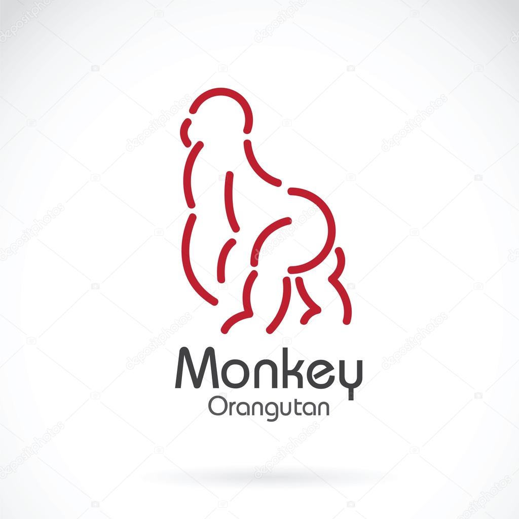 Vector image of monkey orangutan design on white background