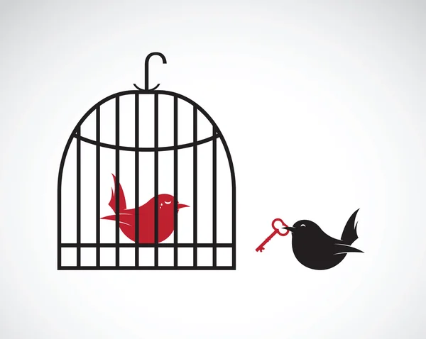 Image vectorielle d'un oiseau dans la cage et à l'extérieur de la cage et clé . — Image vectorielle