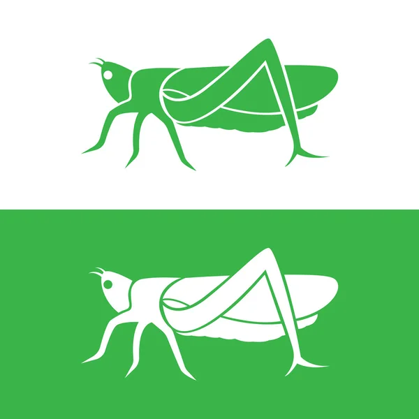 Vector image of an grasshopper design on white background and gr — Stock Vector