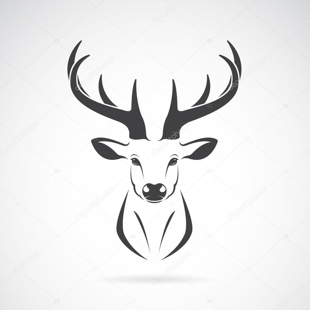 Vector image of an deer head design on white background