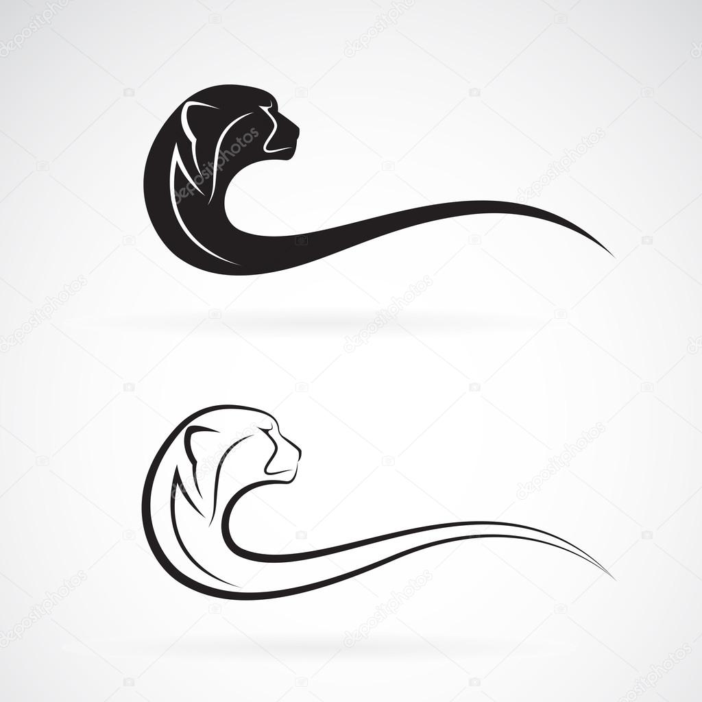 Vector image of an cheetah design on white background