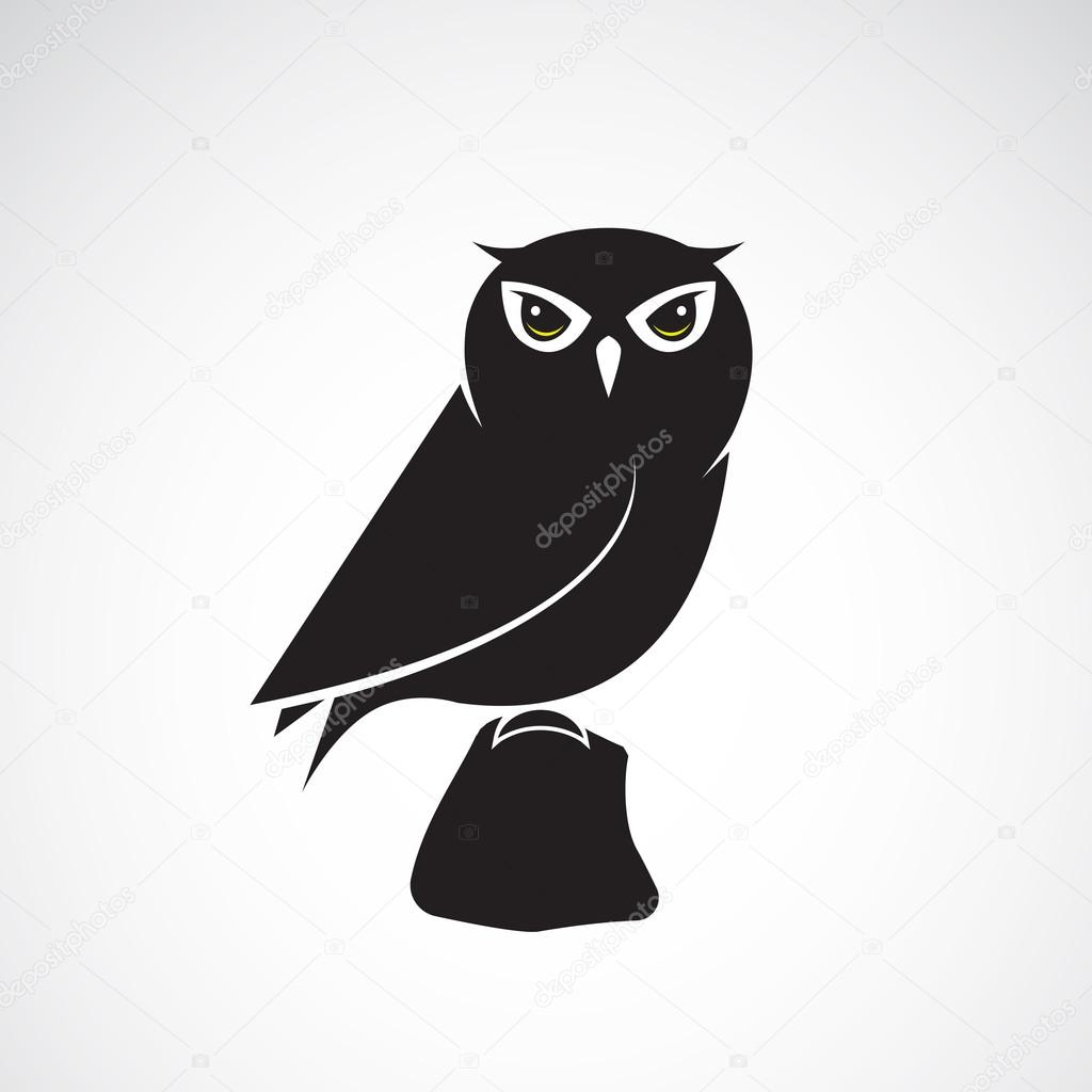 Vector image of an owl design on white background 