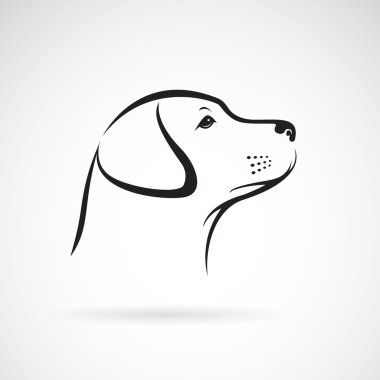 Beyaz arkaplanda bir köpek labradorunun vektör görüntüsü